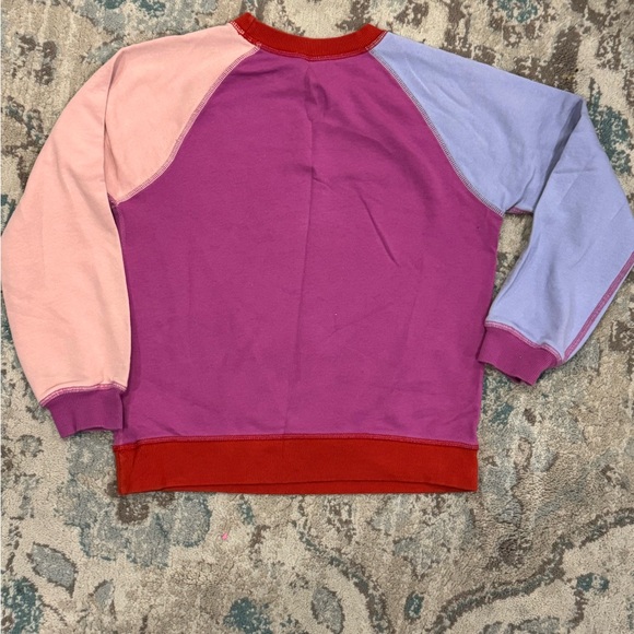 Colorblock Crewneck Sweatshirt - Picture 2 of 3
